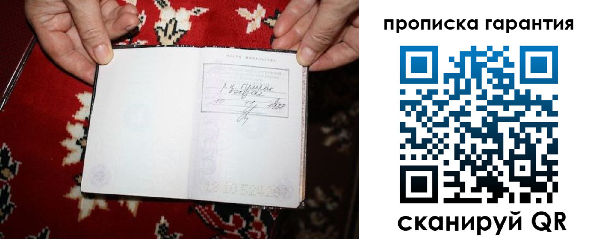 прописка гарантия в Ельне